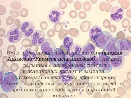 Фолиеводефицитная анемия рекомендации