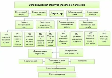 Органы общего управления это
