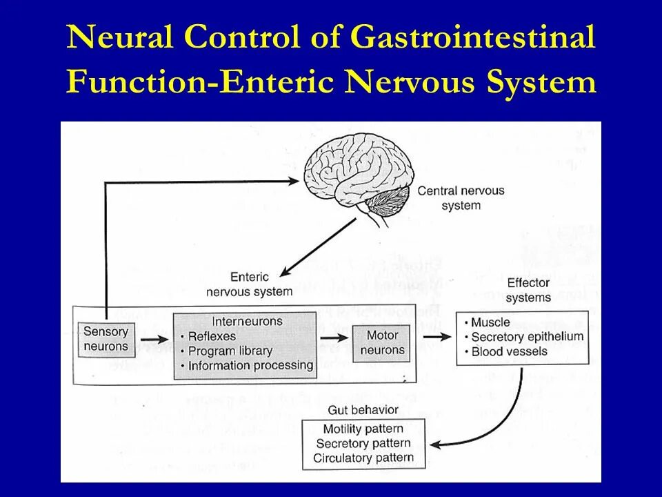 Neural control