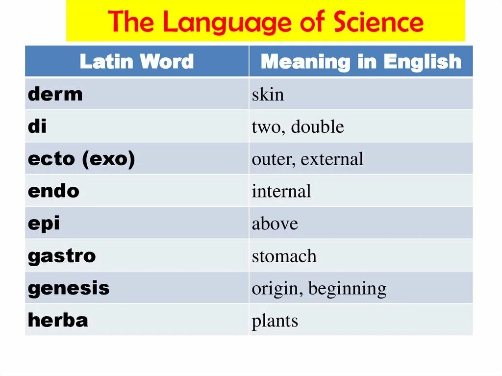 The word science means. Skin на английском. Science language. English Words of Latin Origin. Приставки MYO ,Endo ,Epi ,EXO,Ecto.