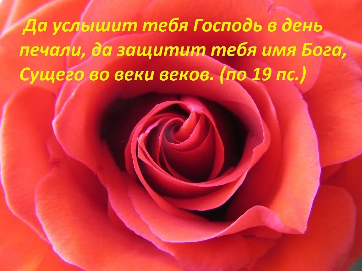 Христианские пожелания и ободрения. Библейские пожелания на день. Открытки с надписью из Библии. Открытка утешение. Христианские поздравления из библии