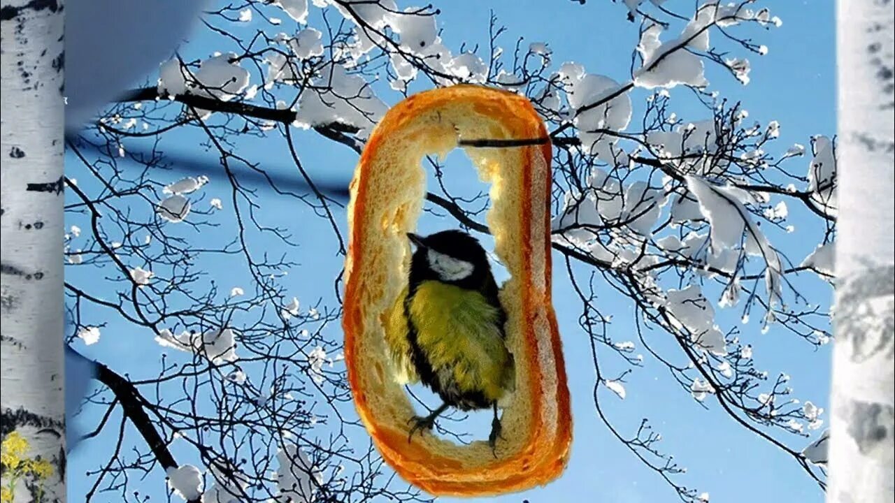 Предвкушения суть. Весенние открытки.