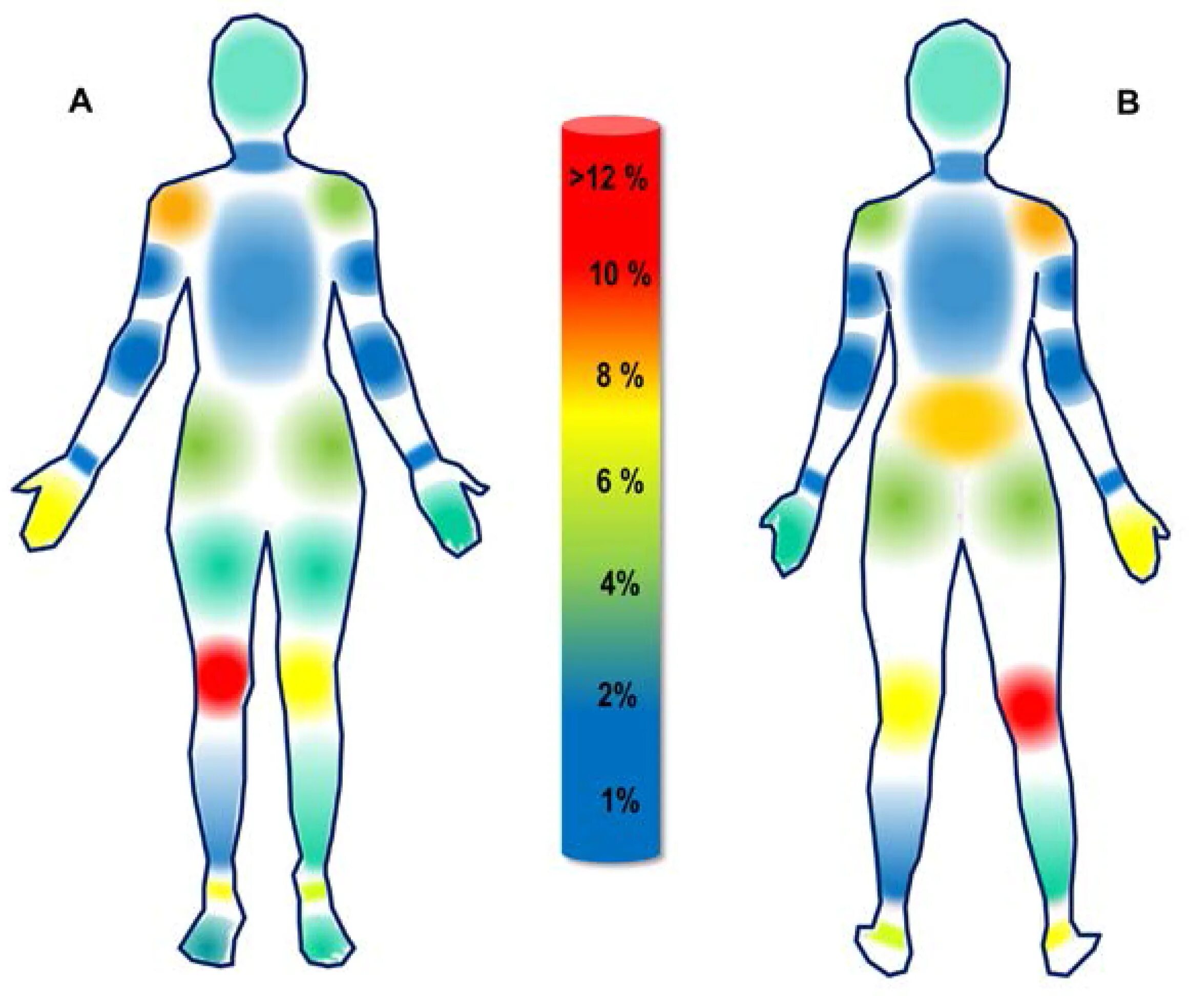 Способы сохранения тепла в доме. Профилактика производственного травматизма в зимний период. Закон сохранения энергии в механических и тепловых процессах. Тепловая карта человека. Советы по экономии тепла.