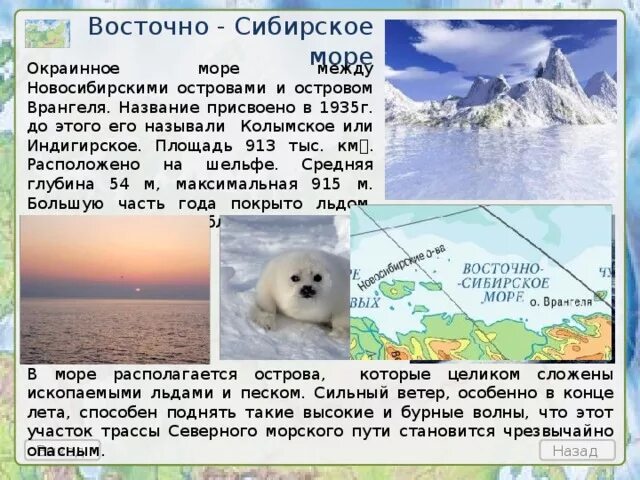 Рыбные ресурсы восточной сибири. Восточно Сибирское море. Особенности Восточно Сибирского моря. Обитатели Восточно Сибирского моря. Восточно-Сибирское море ресурсы моря.