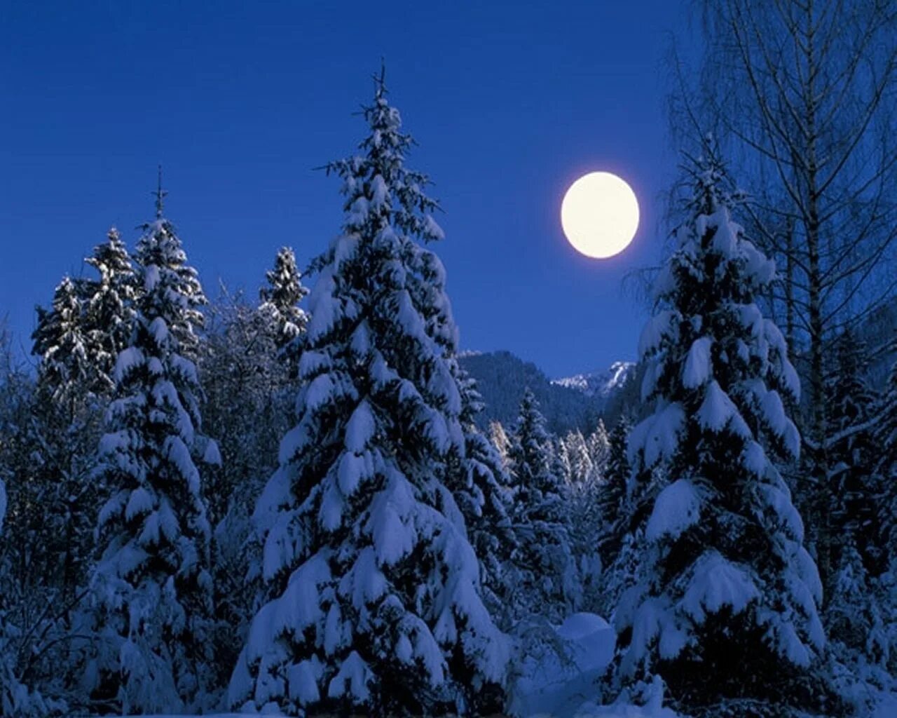 Луна зимой. Зима Луна картинки. Cold Night Winter Moon. Луна в феврале фото.