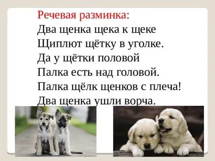 Два щенка щека к щеке