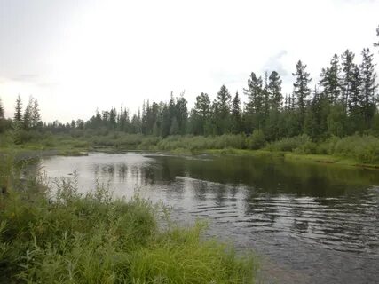 Река северная красноярский