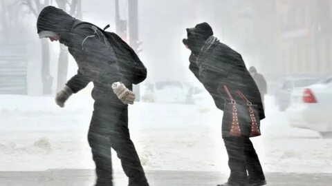 Метель порывы ветра