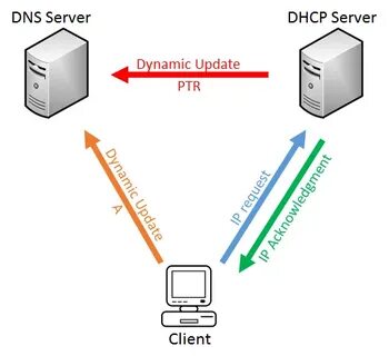 Dhcp клиент dns