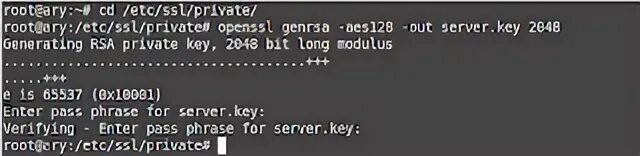 Etc ssl. Etc ssl