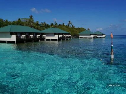 Maldives 3