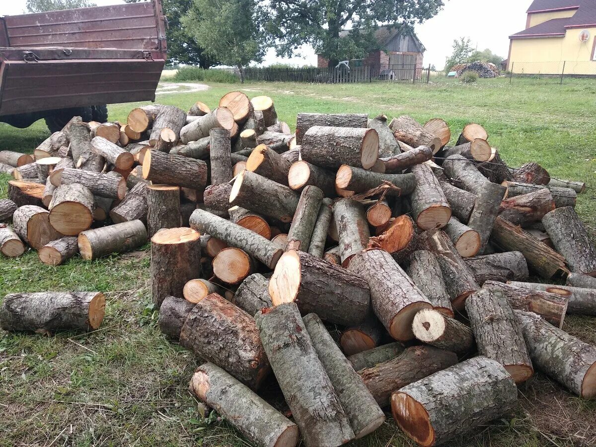 Купить дрова бабушке. Дрова. Нарубленные дрова. Заготовка дров. Дрова в деревне.