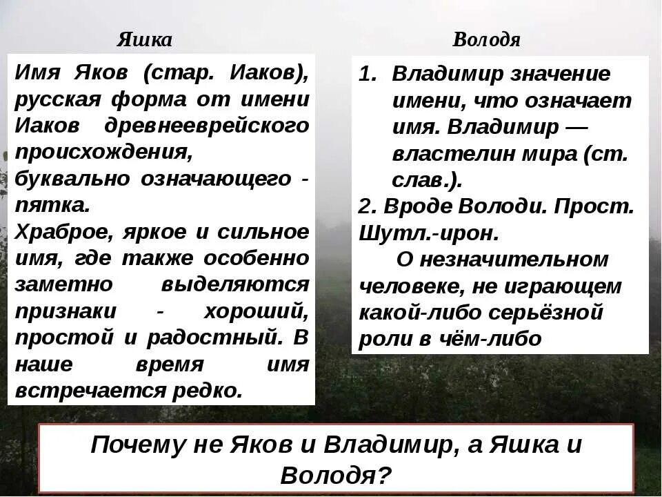 Характеристика ящи и володе. Характеристика Яшки и Володи. Сравнительная характеристика Яшки и Володи. Тихое утро сравнительная характеристика Яшки и Володи. Какую историю об омуте рассказывает яшка володе