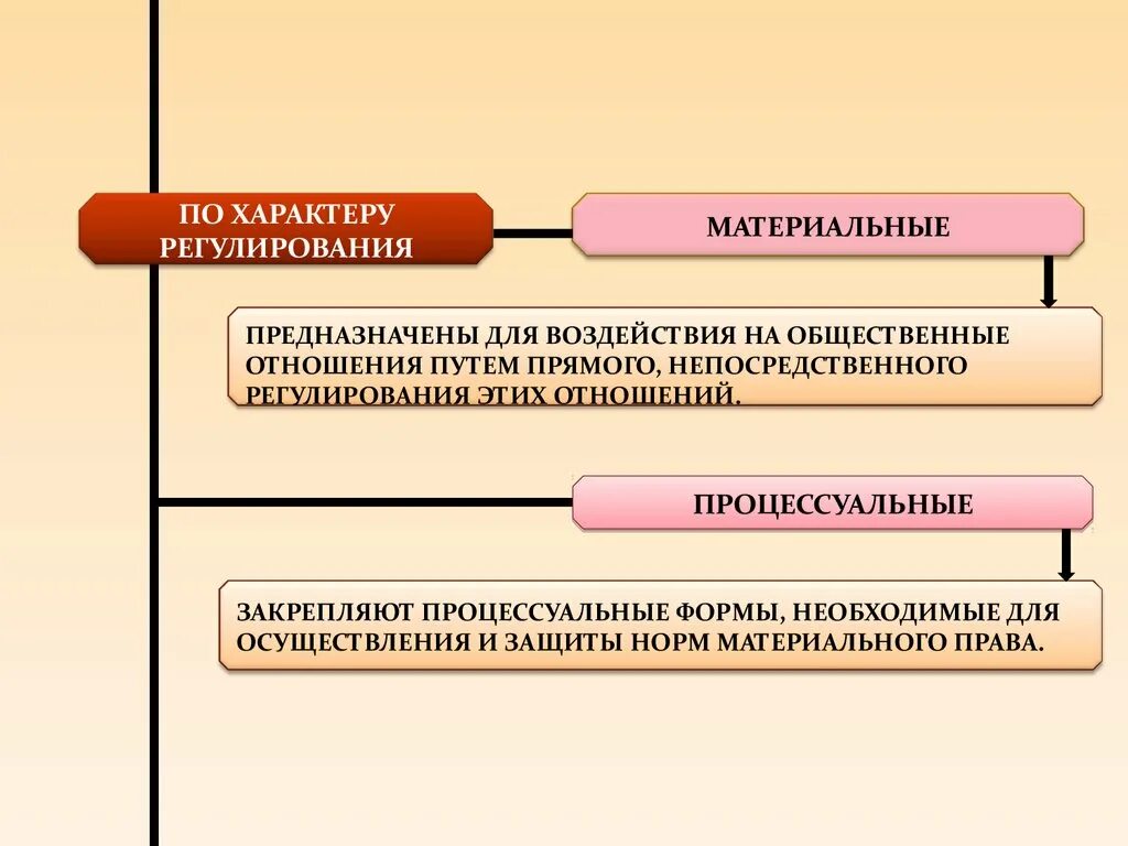 Регулирующее воздействие общества. По характеру регулирования. Нормы по характеру регулируемых отношений. Материальные и процессуальные формы отношений. Характер правового регулирования.