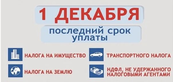 1 Декабря налоги. Заплати налоги до 1 декабря. Срок уплаты налога. 1 Декабря срок уплаты налогов картинка.