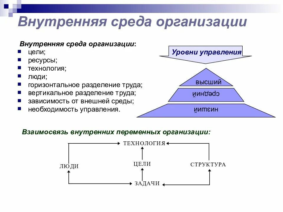 Вертикальные уровни управления. Внутренняя и внешняя среда организации в менеджменте. Внутренняя среда организации цели структура задачи. Внутренняя среда организации менеджмент. Внутренняя среда предприятия кратко.