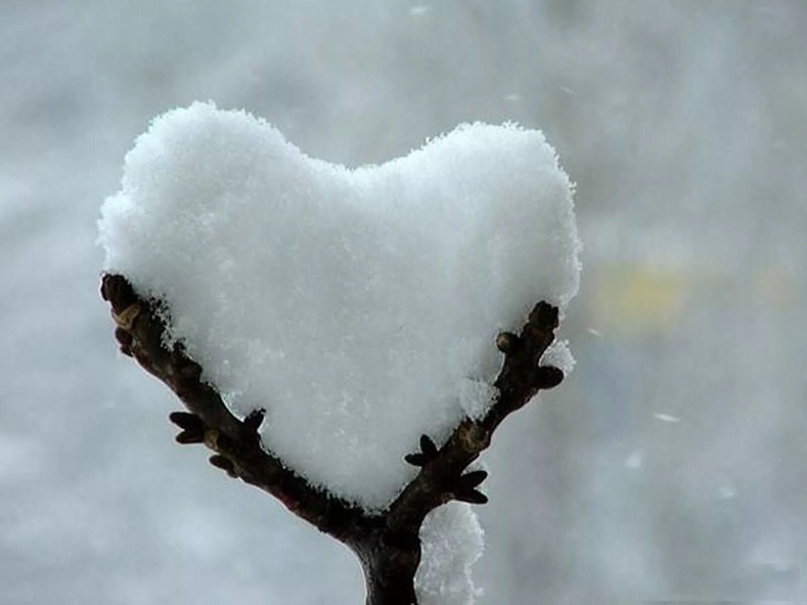 Люблю первый снег. Сердце из снега. Сердце на снегу. Сердце зимой. Сердечко из снега.