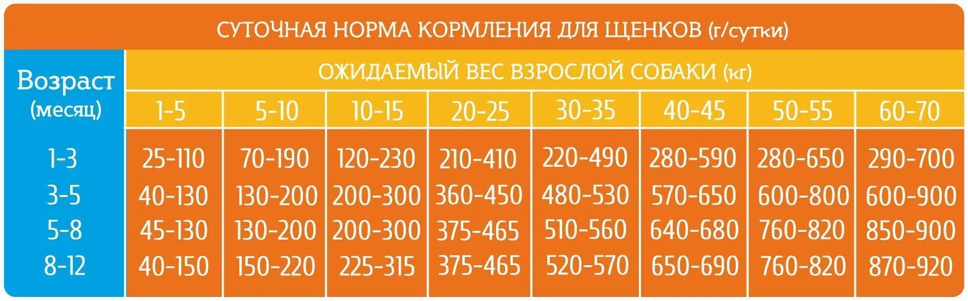 Сколько нужно есть собаке. Норма корма для щенка крупных пород 2 месяца. Норма корма для щенка Йорка 2 месяца. Сколько сухого корма давать щенку таблица. Таблица кормления собак сухим кормом.