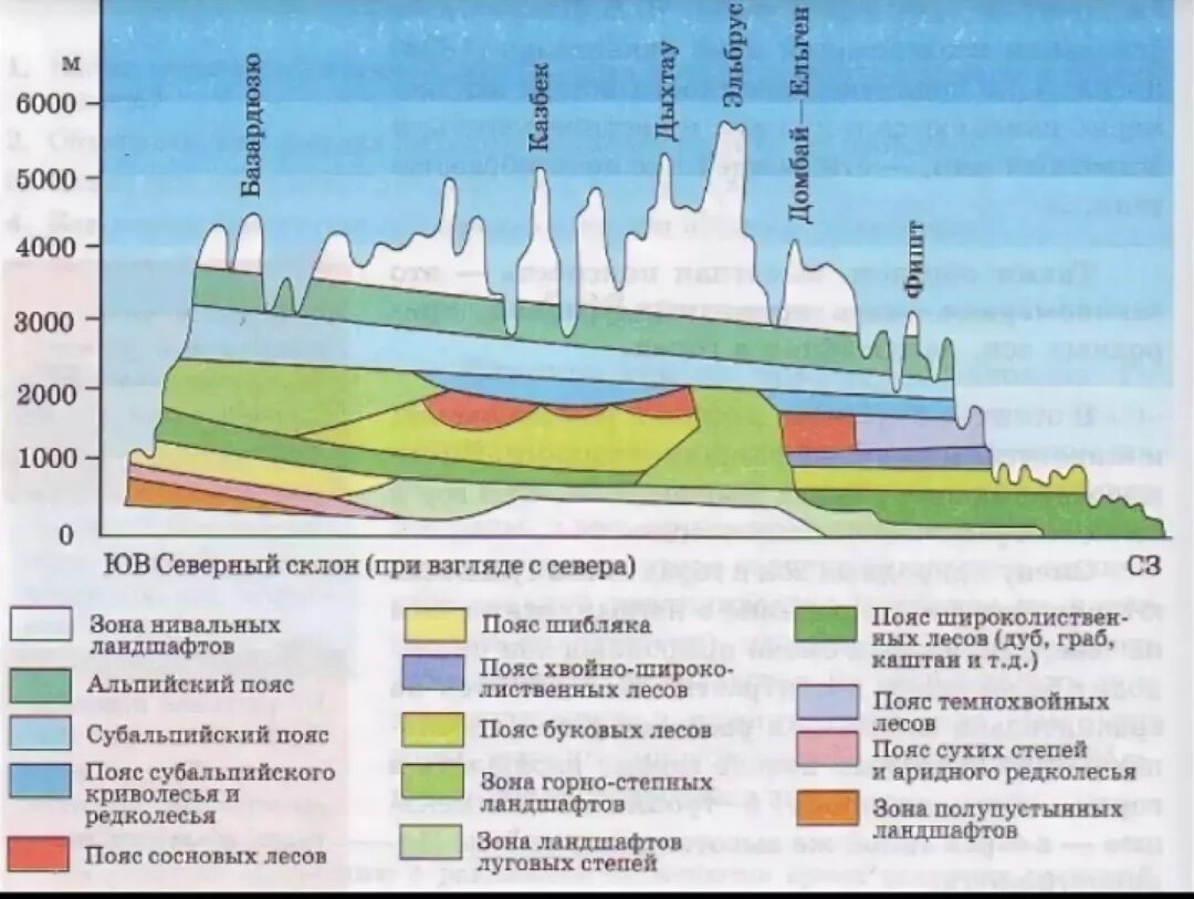 Природные зоны кавказа таблица. Высотная поясность гор Кавказа. Схема ВЫСОТНОЙ поясности гор Кавказа. Высотная поясность Кавказа 8 класс. Схема ВЫСОТНОЙ поясности горы Эльбрус.