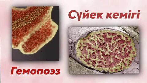 Пиздадағы объектілердің порнофотосуреттері