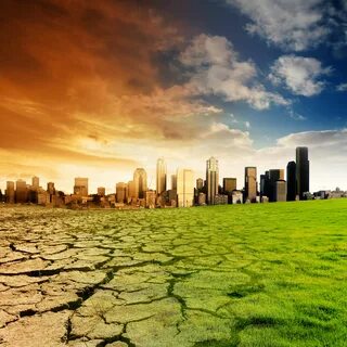 The environment consequences