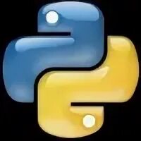 Arrow python. Python today.