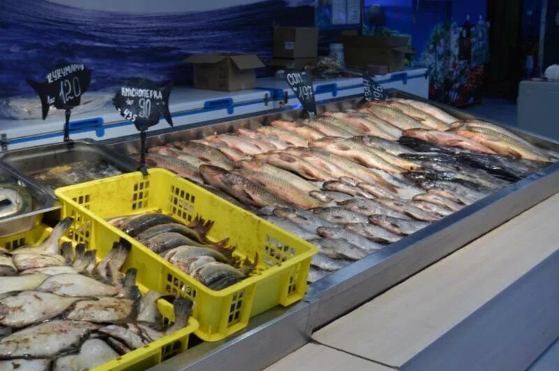 Купить рыбу во владивостоке. Рыбный рынок берёзка, Владивосток. Рыбный рынок Владивосток вторая речка. Рыбный рынок Владивосток первая речка. Склад рыбы и морепродуктов.