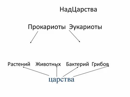 Надцарство в систематике