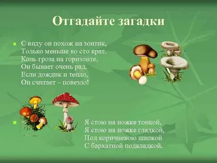 Видеоуроки грибы