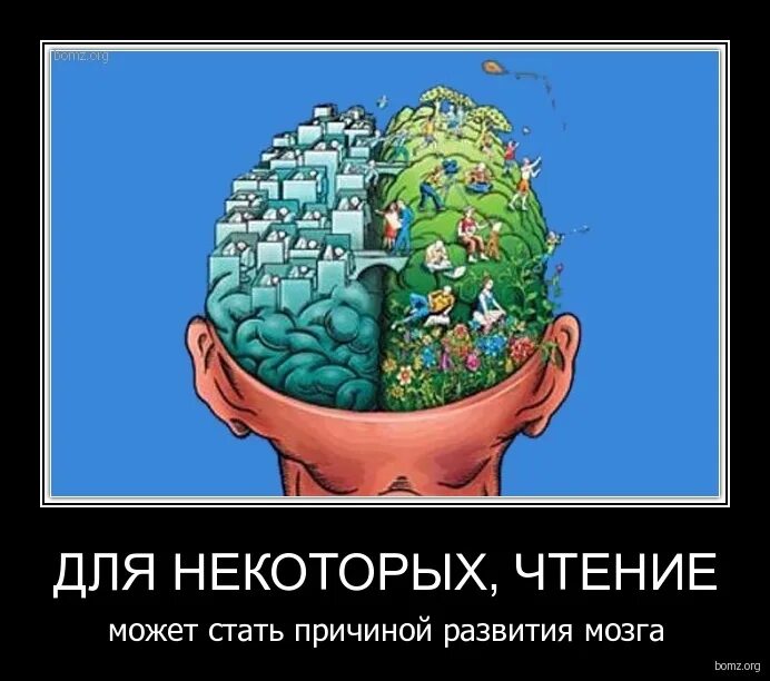 Чтение и мозг. Чтение книг мозг. Чтение книги развитие мозга. Чтение развивает мозг.