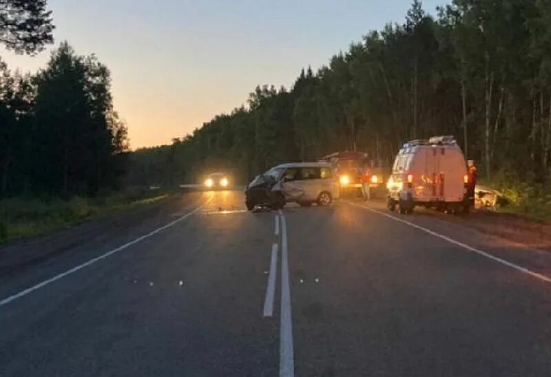 ДТП С лосем в Псковской области. Машина на трассе. Трасса ночью. Что произошло 24.03 24