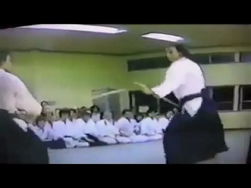 Сигал айкидо видео
