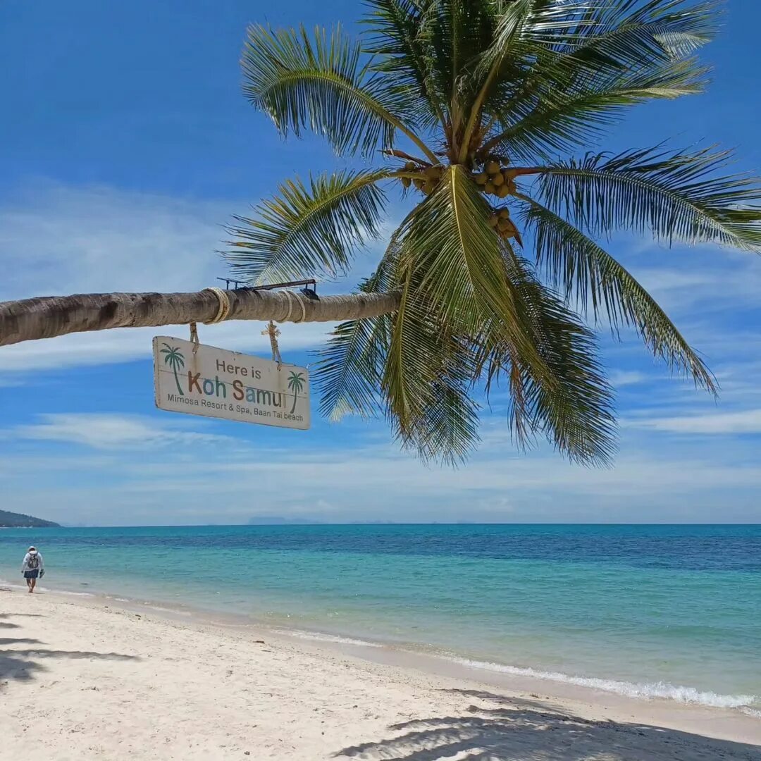 самуи 2023 год