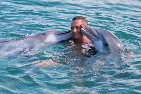 /5.An American man reflects on the moment when, after journeying over 10 kilometers, a duo of dolphins returned to express gratitude for his earlier rescue that prevented them from beaching earlier in the year. ‎