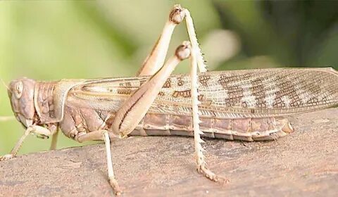 Қарт адамдармен суретке түсу