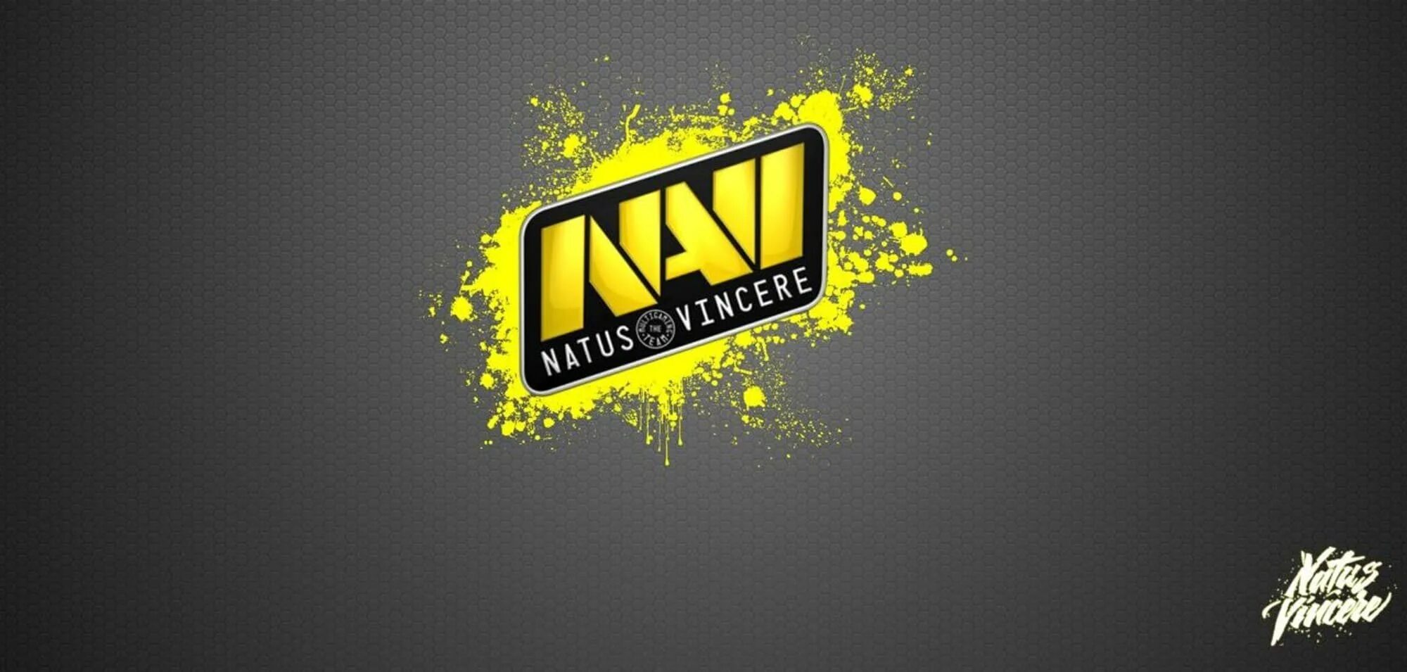 Navi csgo. Navi csgo