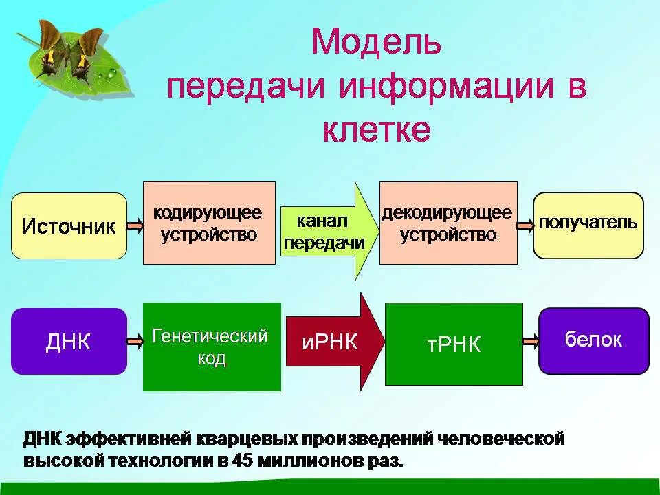 Кодирующее устройство примеры. Источник информации кодирующее устройство. Источник кодирующее устройство канал связи. Источник сообщений кодирующее устройство.