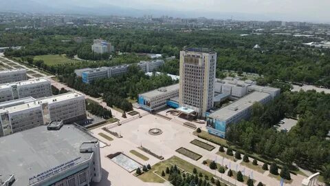 Школа аль фараби