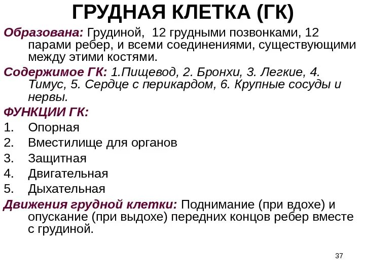 Грудина функции кратко. Схема строения грудной клетки. Скелет туловища. Скелет грудной клетки функции. Строение и функции грудной клетки.