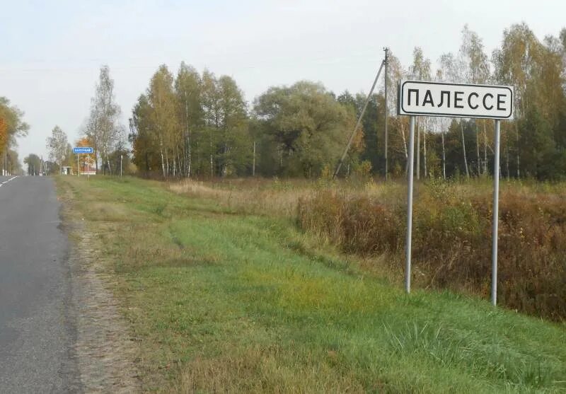Белоруссия парк припятский. Деревни в полесье беларусь. Полесье гомельская область. Припятское полесье беларусь. Полесье гомельская область.