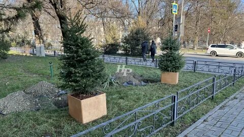 Новороссийск в телеграмме