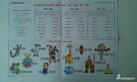 Слова с чу примеры 2 класс