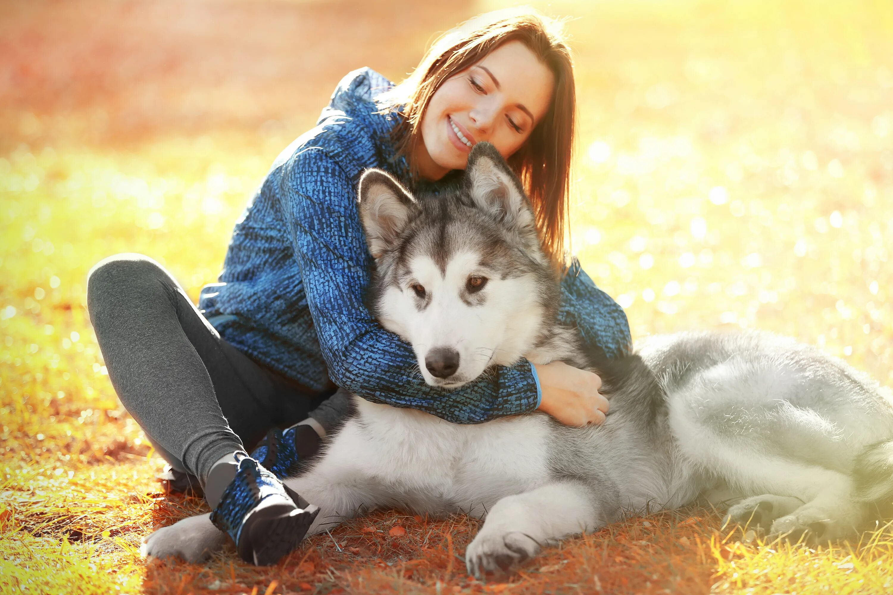 Woman with animals. Маламут. Сибирский хаски с человеком. Девушка с собакой. Красивая девушка с собакой.