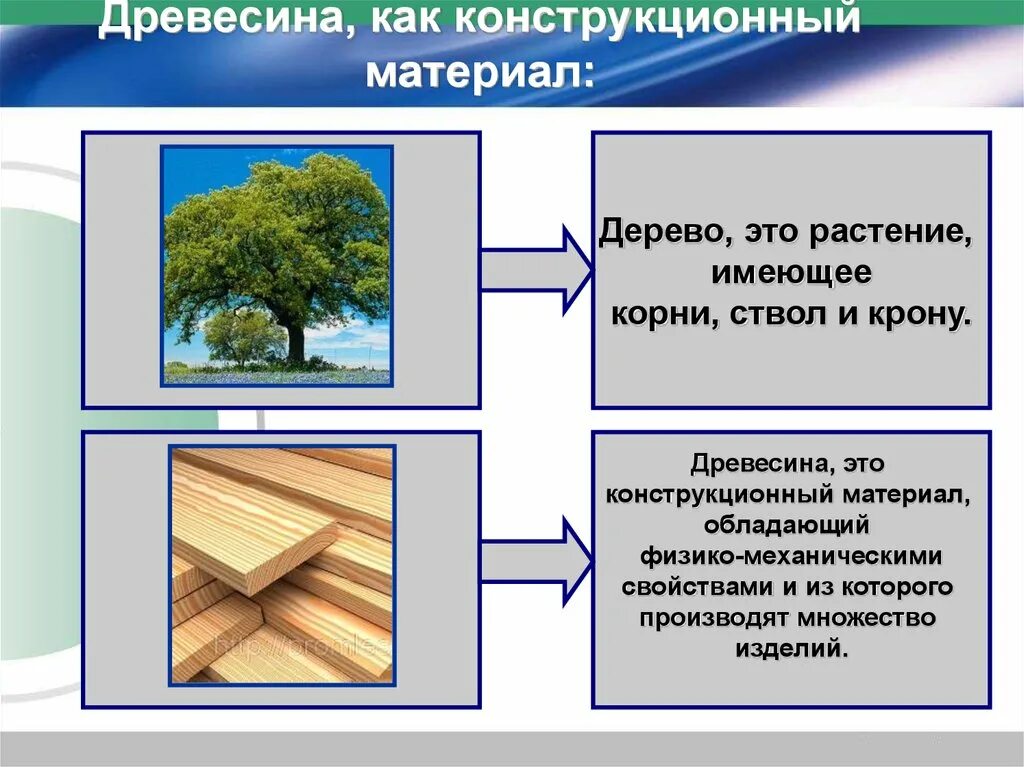 Древесина конструкционный материал. Конструкционные древесные материалы. Конструкционные материалы из древесины. Древесина и древесные материалы. Древесина главное богатство этой зоны