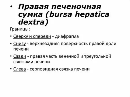 Печеночную и преджелудочную сумки разделяет