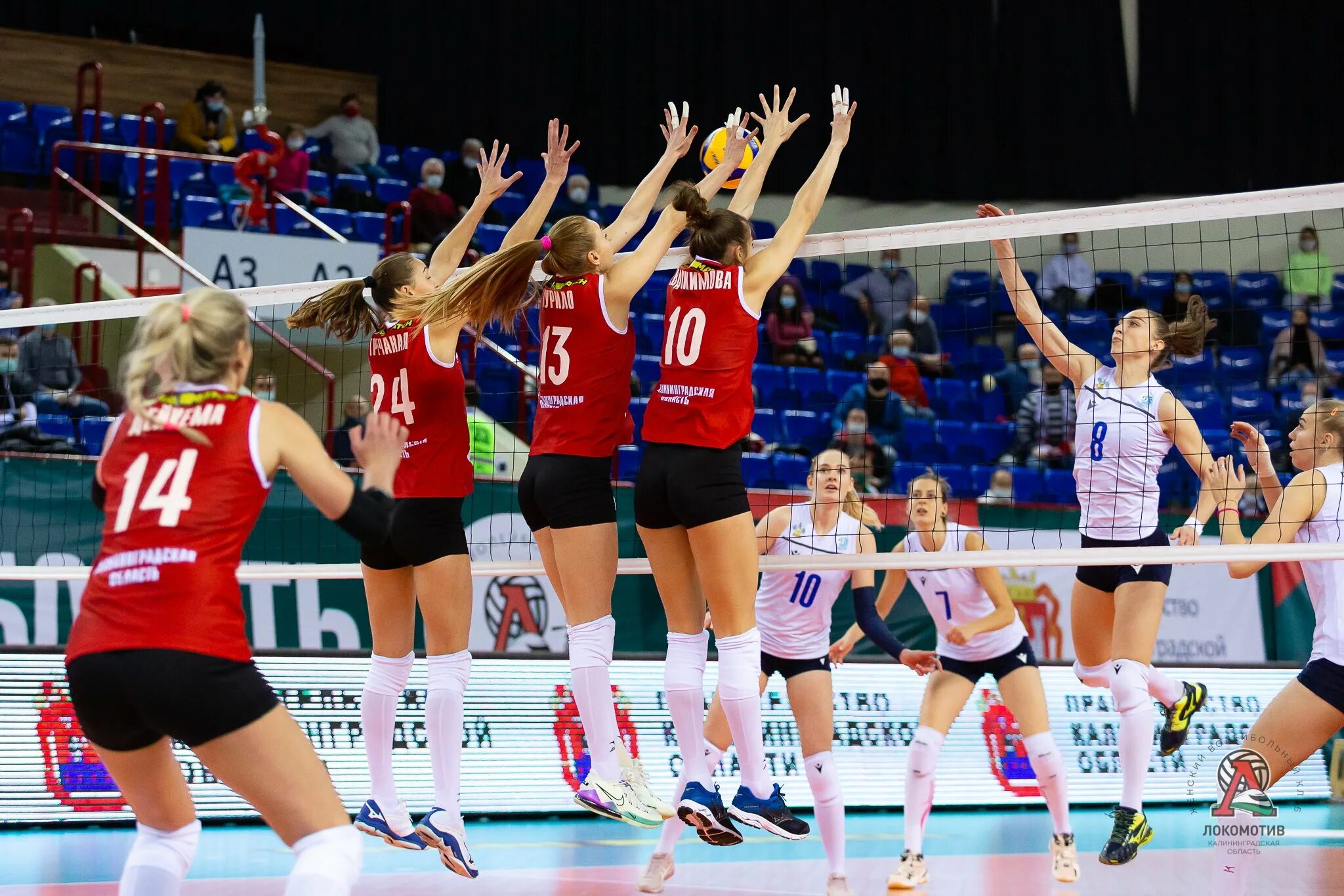 зайцева волейболистка локомотив. локомотив калининград волейбол. женская волейбольная команда локомотив калининград. локомотив калининград волейбол. волейбол женщины локомотив состав команды.
