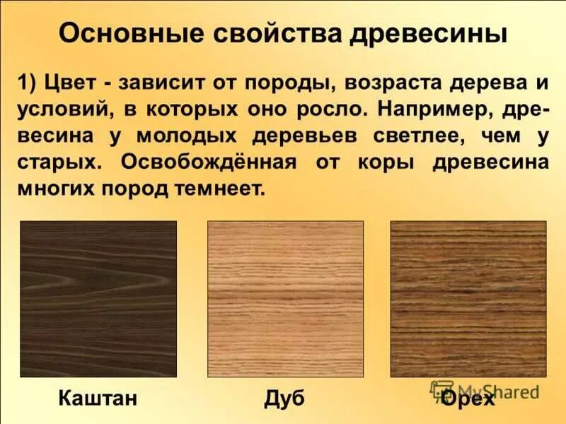 Породы древесины. Цвет древесины разных пород. Свойства древесины. Свойства древесины основное. Доминирующие древесные виды