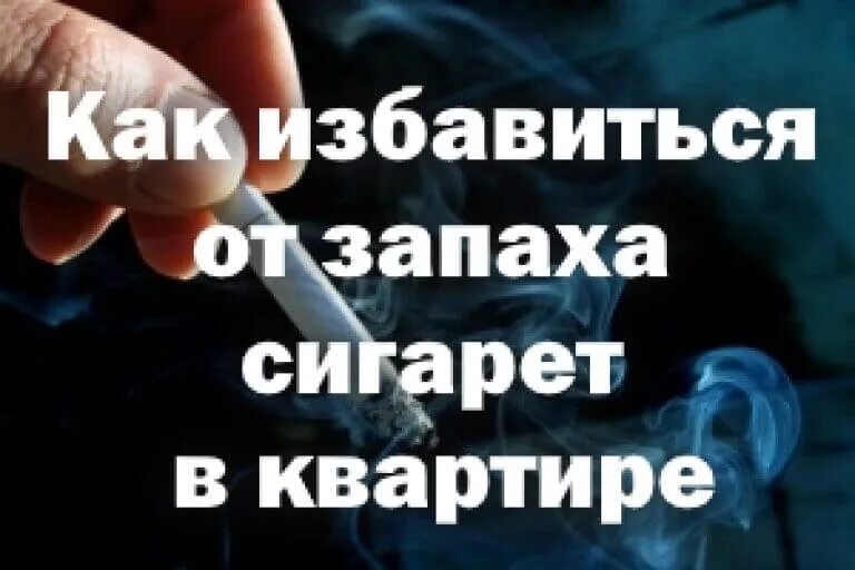 Как избавиться от запаха сигарет в квартире. Как избавиться от запаха курева в квартире. средство от табачного дыма в квартире. как избавиться от запаха табака в квартире.