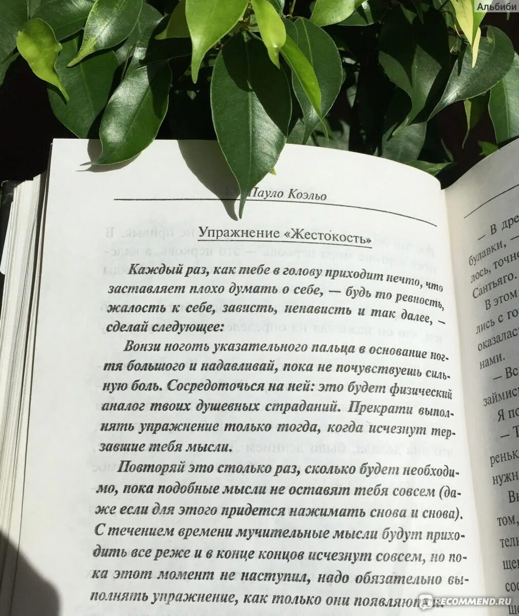 Книги пауло коэльо краткое содержание. Пауло Коэльо цитаты книга. Пауло Коэльо цитаты из книг. Пауло Коэльо путь к себе. Пауло Коэльо ревность.