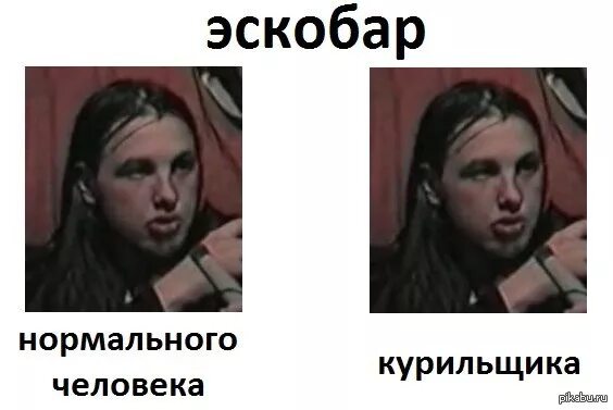 Шо то ка